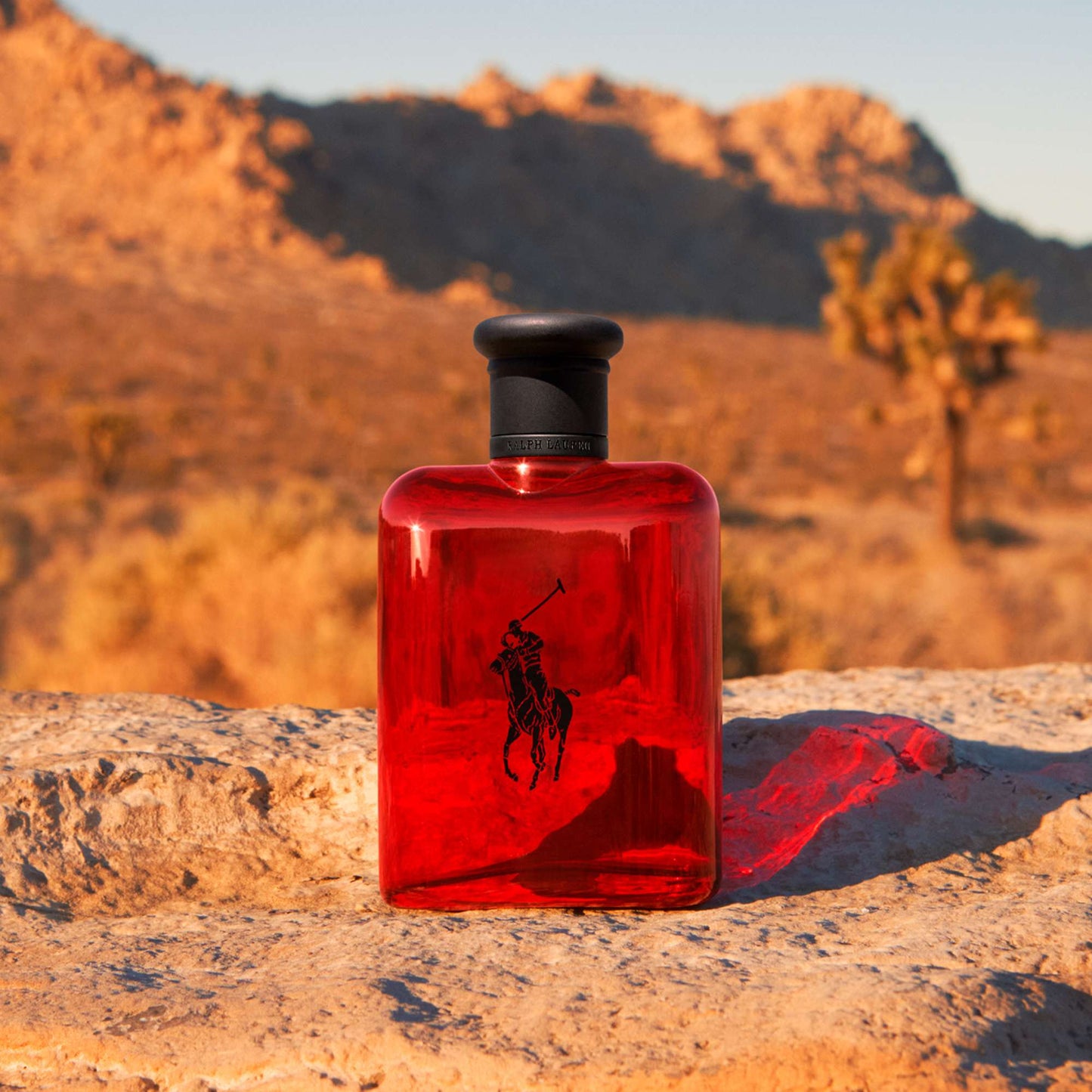 Ralph Lauren Polo Red Eau de Toilette Spray 75ml - Additional 3