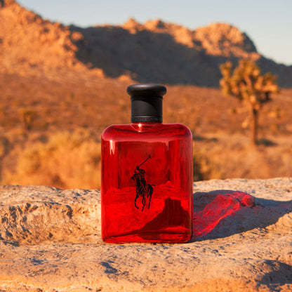 Ralph Lauren Polo Red Eau de Toilette Spray 75ml - Additional 3