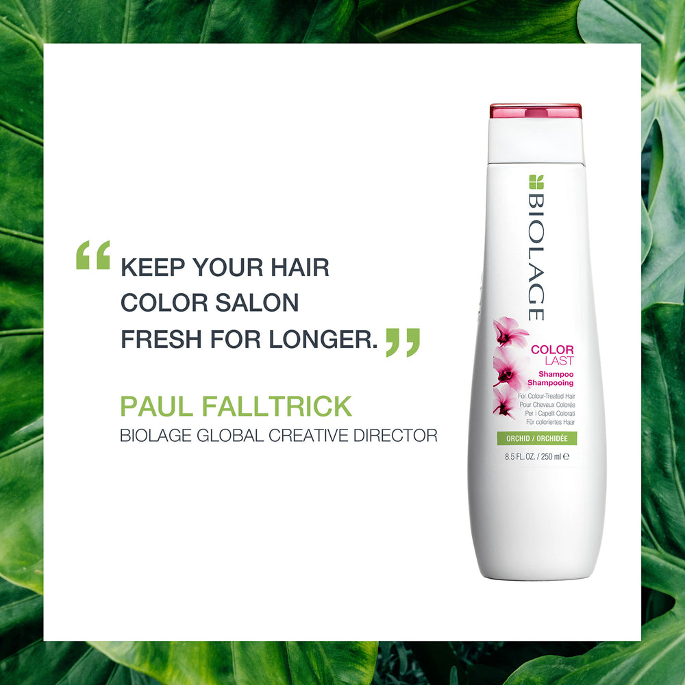 Biolage ColorLast Shampoo for Coloured Hair 250ml - Additional 2