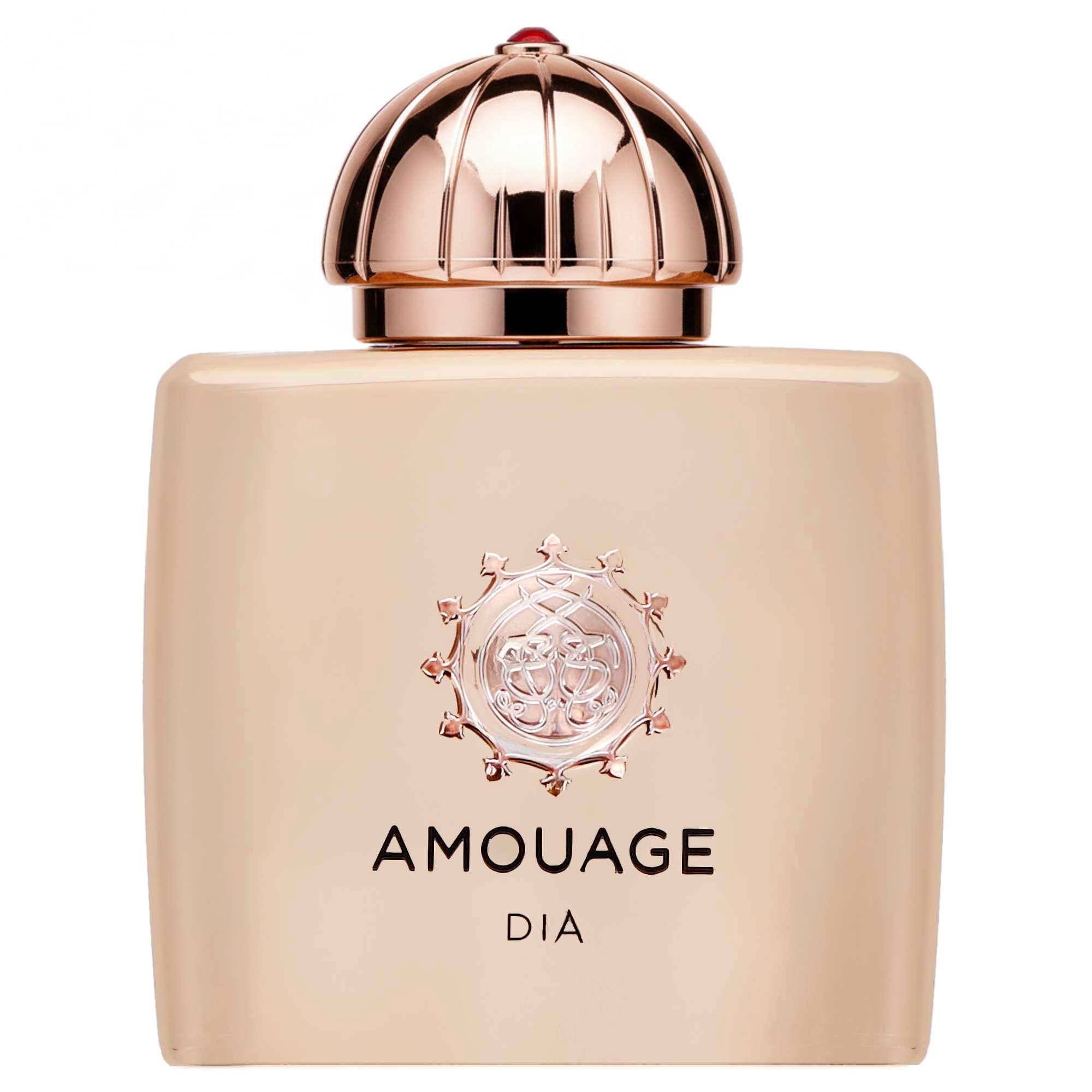 Amouage Dia Woman Eau de Parfum Spray 100ml - Perfume – allbeauty