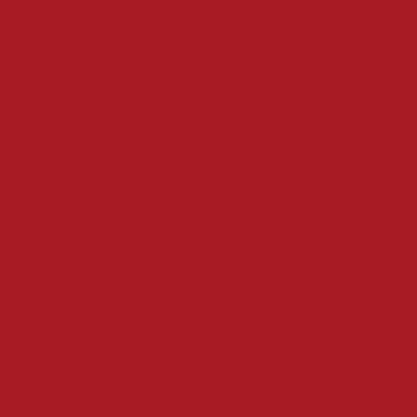 Clarins Joli Rouge Lipstick  743 Cherry Red 3.5g / 0.1 oz. (TBC check if in white box)