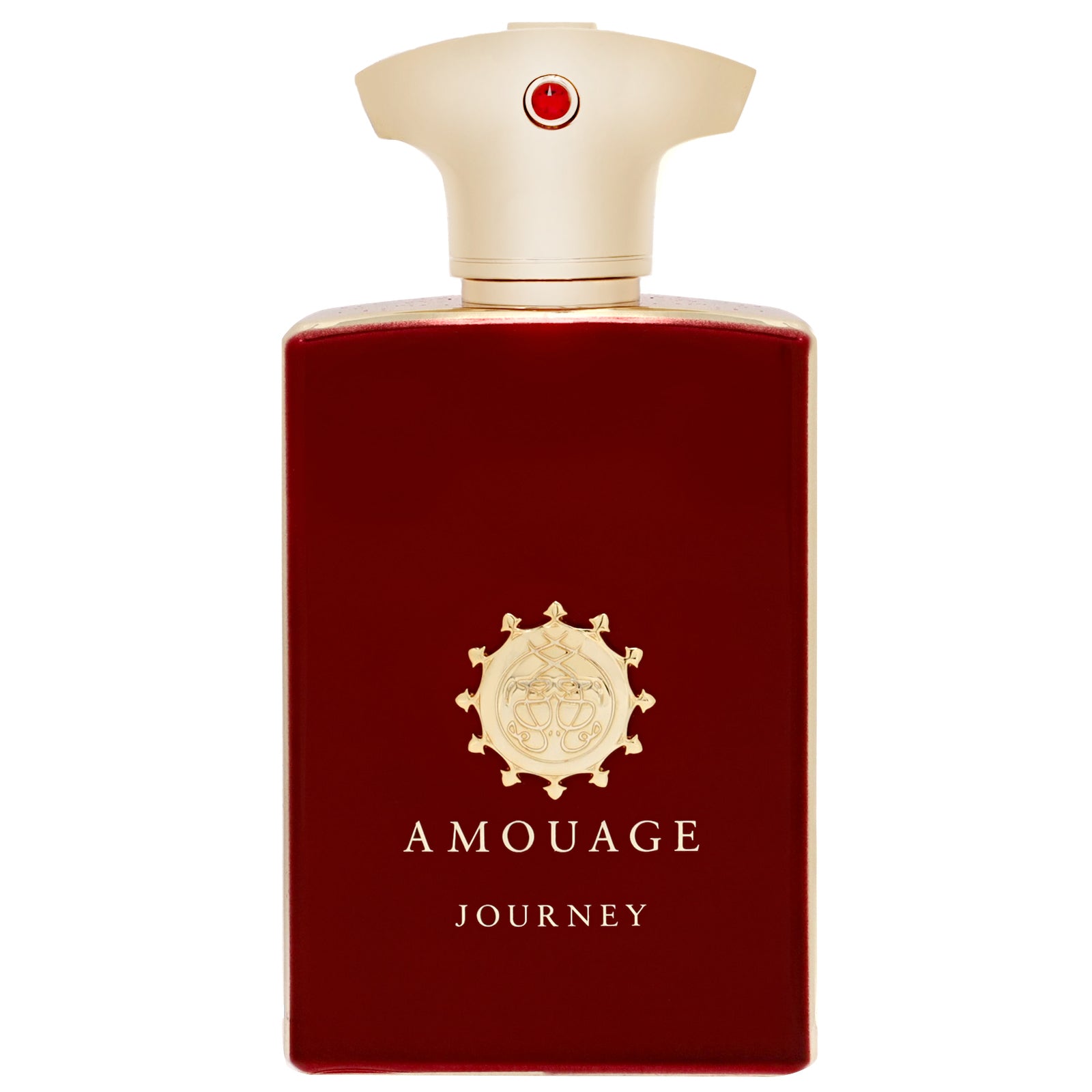 Amouage Journey Man Eau de Parfum Spray 100ml - Aftershave – allbeauty