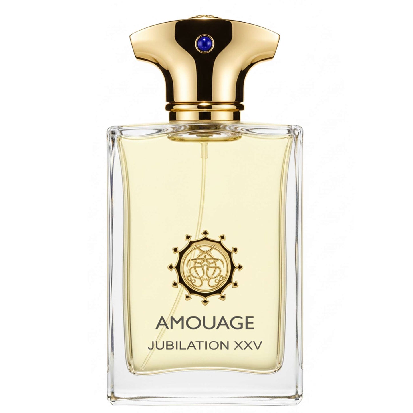 Amouage Jubilation XXV Man Eau de Parfum Spray 100ml