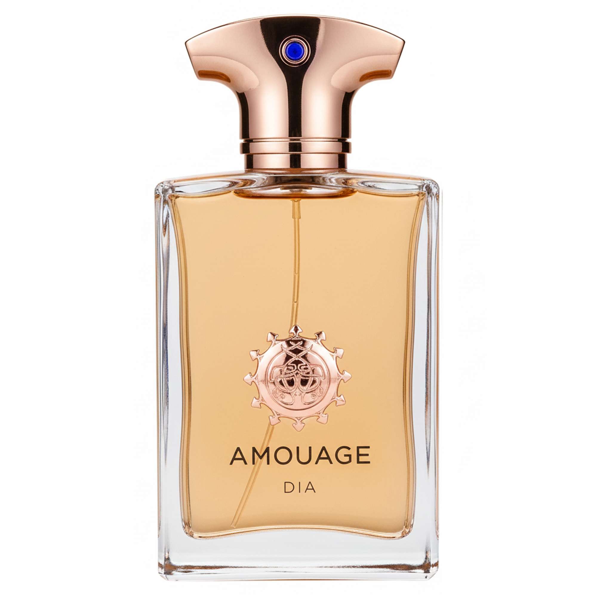 Amouage Dia Man Eau de Parfum Spray 100ml - Aftershave – allbeauty