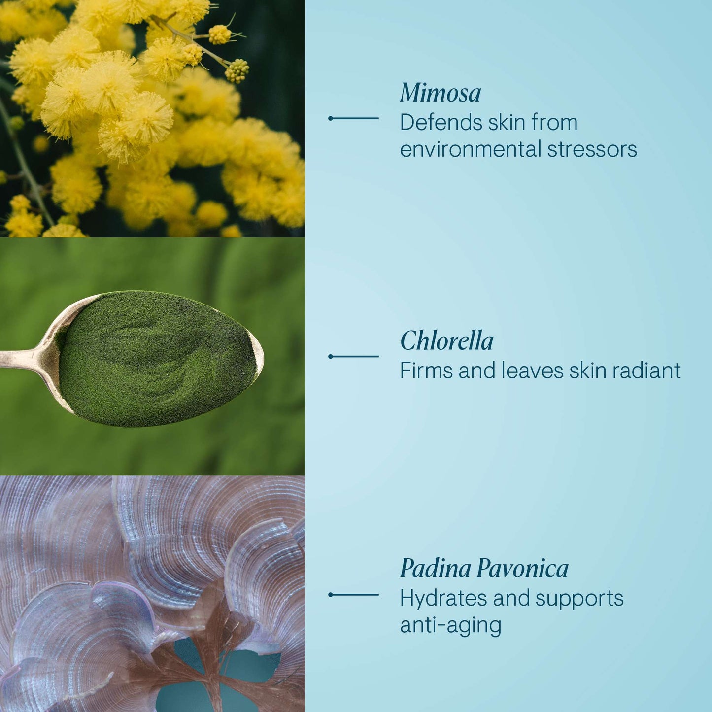 ELEMIS Pro-Collagen Marine Cream SPF30 50ml / 1.6 fl.oz. - Additional 8