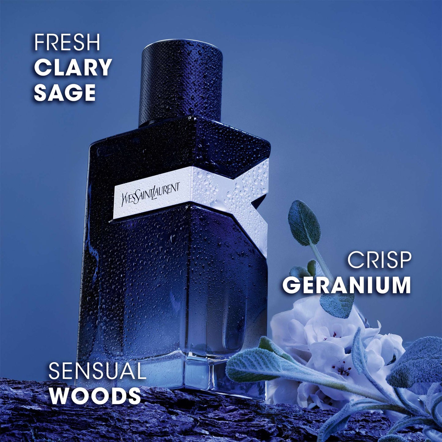 Yves Saint Laurent Y For Men Eau de Parfum Refillable Spray 60ml - Additional 2