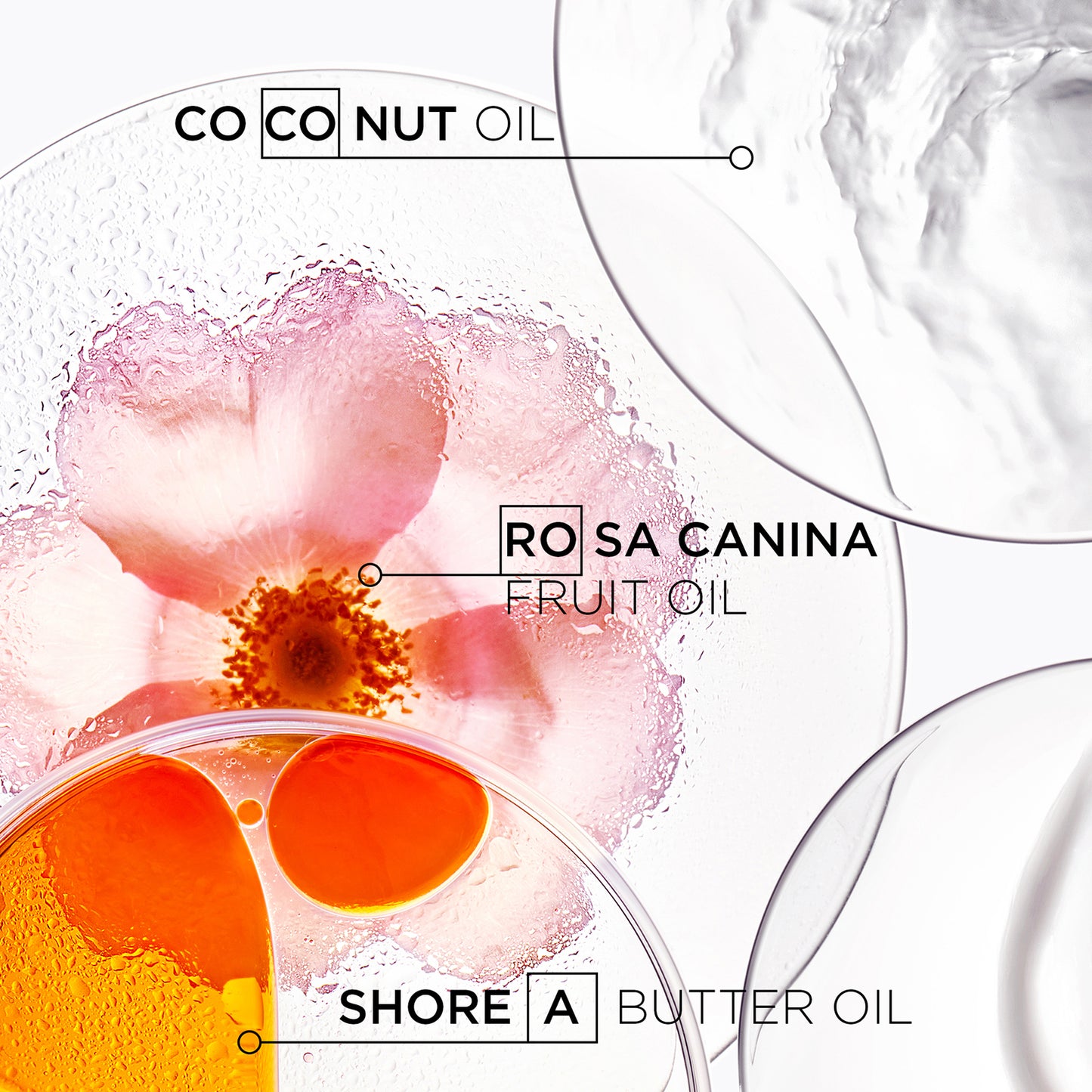 Kérastase Discipline Bain Oléo-Relax: Control-In-Motion Shampoo 250ml - Additional 2