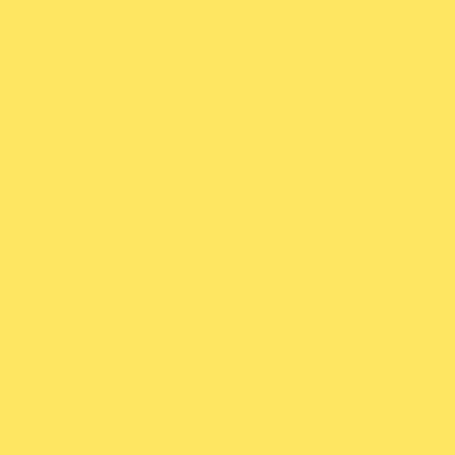 Shiseido MicroLiner Ink No 06 Yellow