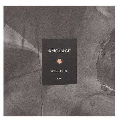 Amouage Overture Man Eau de Parfum Spray 100ml - Additional 1