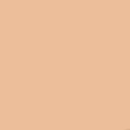 Dior Forever Matte Foundation SPF15 3W Warm