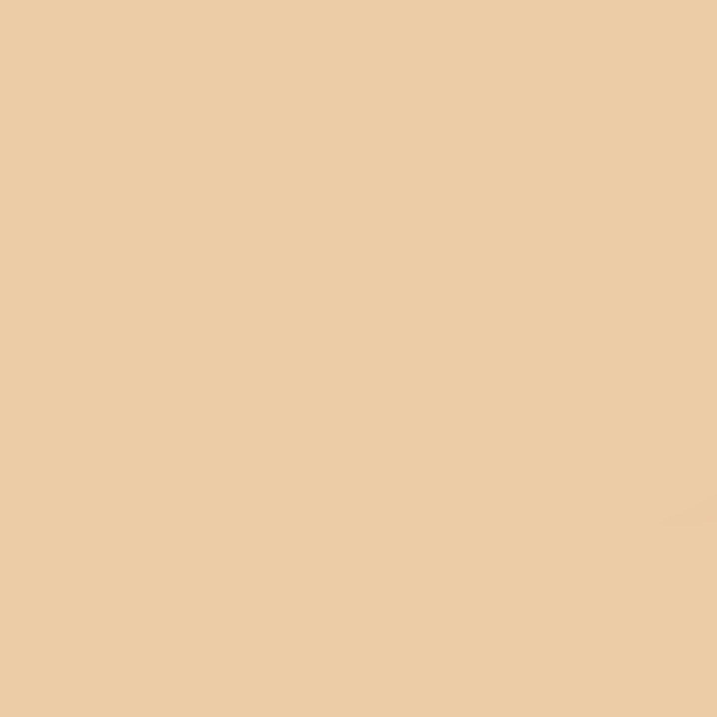 Dior Forever Matte Foundation SPF15 2WO Warm Olive