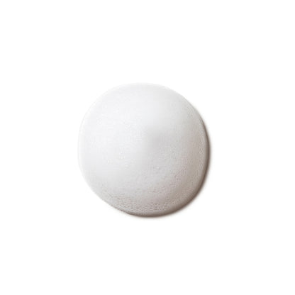 philosophy Purity Made Simple Pore Purifying Foam Cleanser 150ml - Additional 1