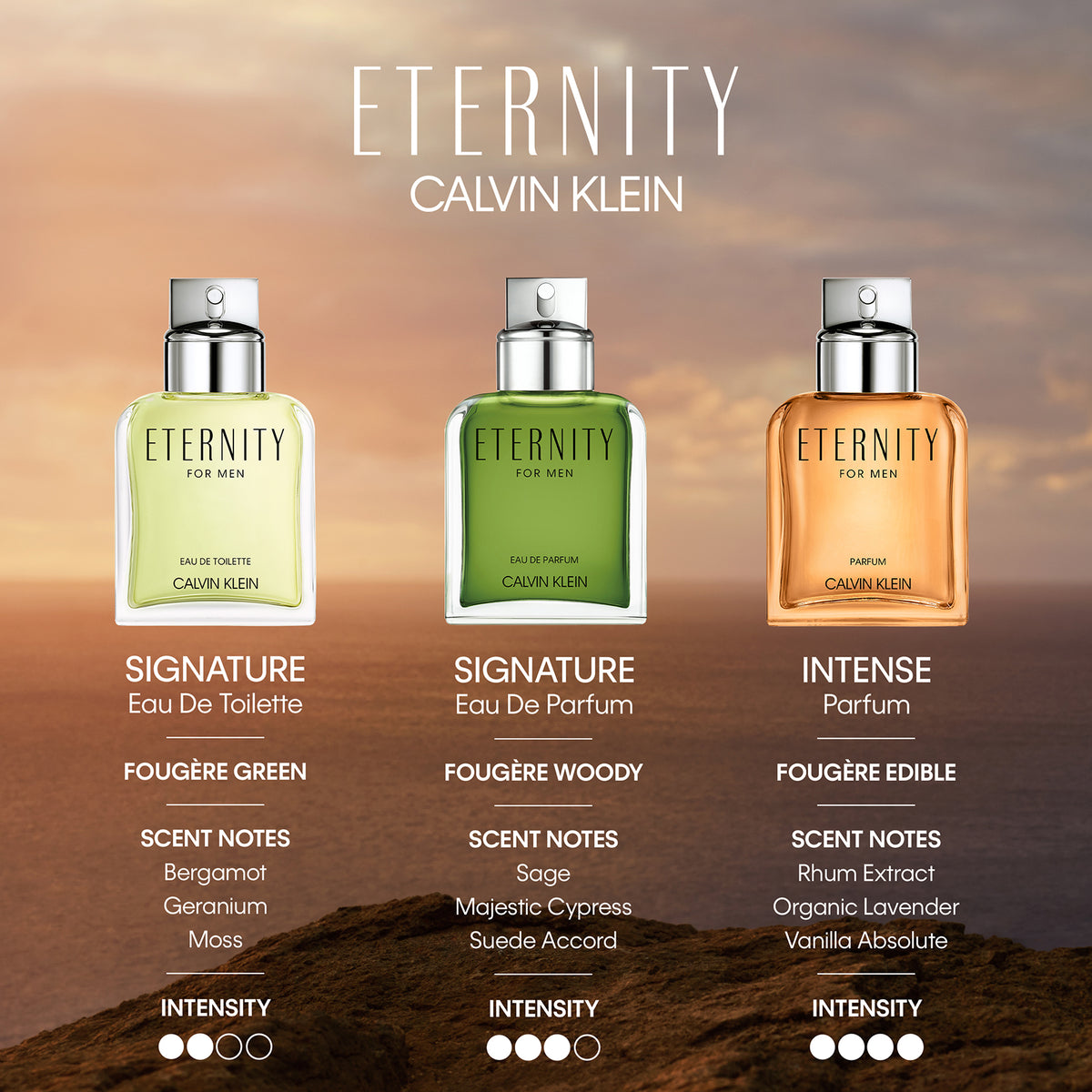Calvin Klein Eternity For Men Parfum 50ml - Additional 4