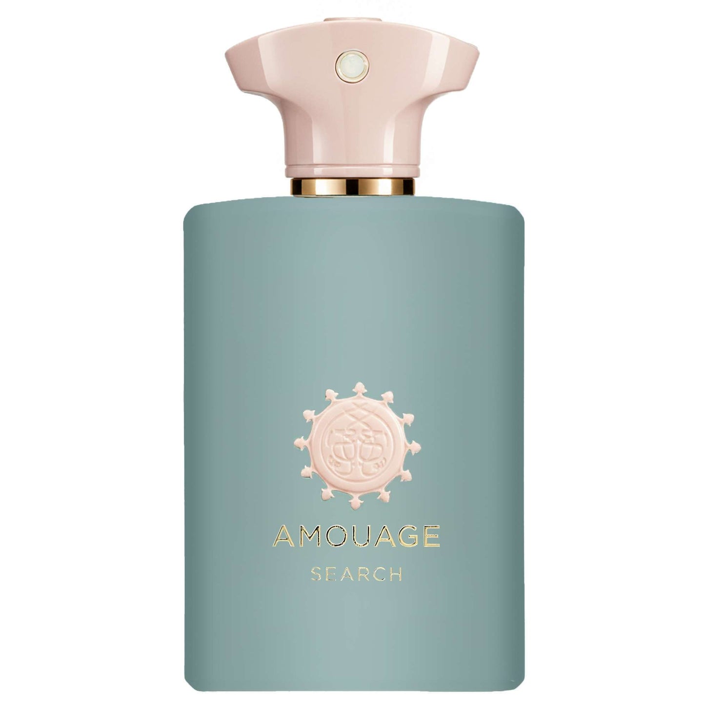 Amouage Search Man Eau de Parfum Spray 100ml