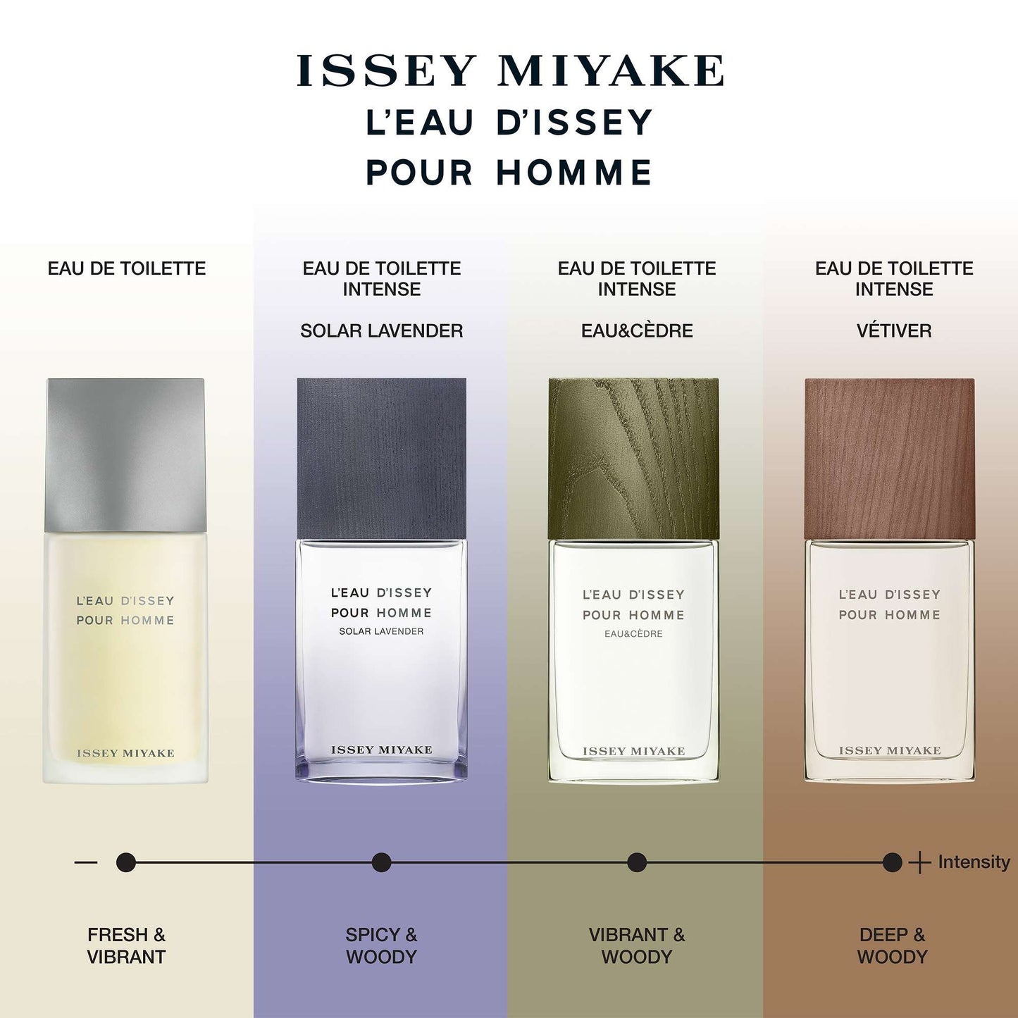 Issey Miyake L'Eau d'Issey Pour Homme Solar Lavender Eau de Toilette Spray 50ml - Additional 3