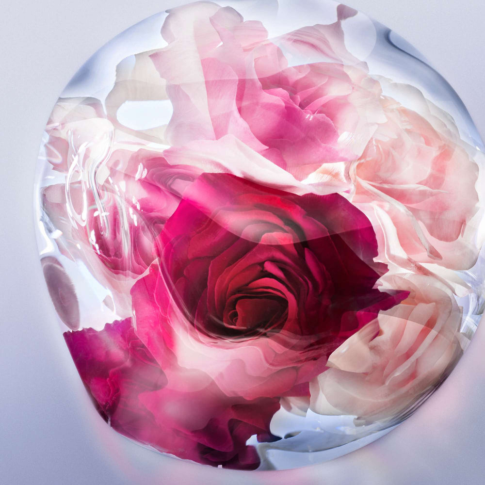 Lancôme La Vie est Belle Rose Extraordinaire Eau de Parfum Spray 30ml - Additional 8
