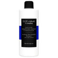 Hair Rituel by Sisley Treatment Soothing Anti-Dandruff Shampoo 500ml