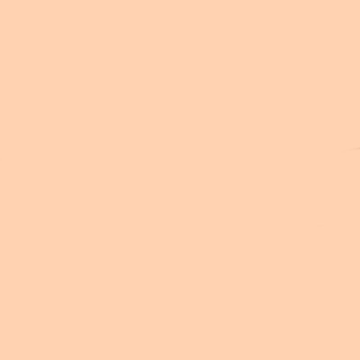 Guerlain Terracotta Concealer 1N Neutral 11.5ml