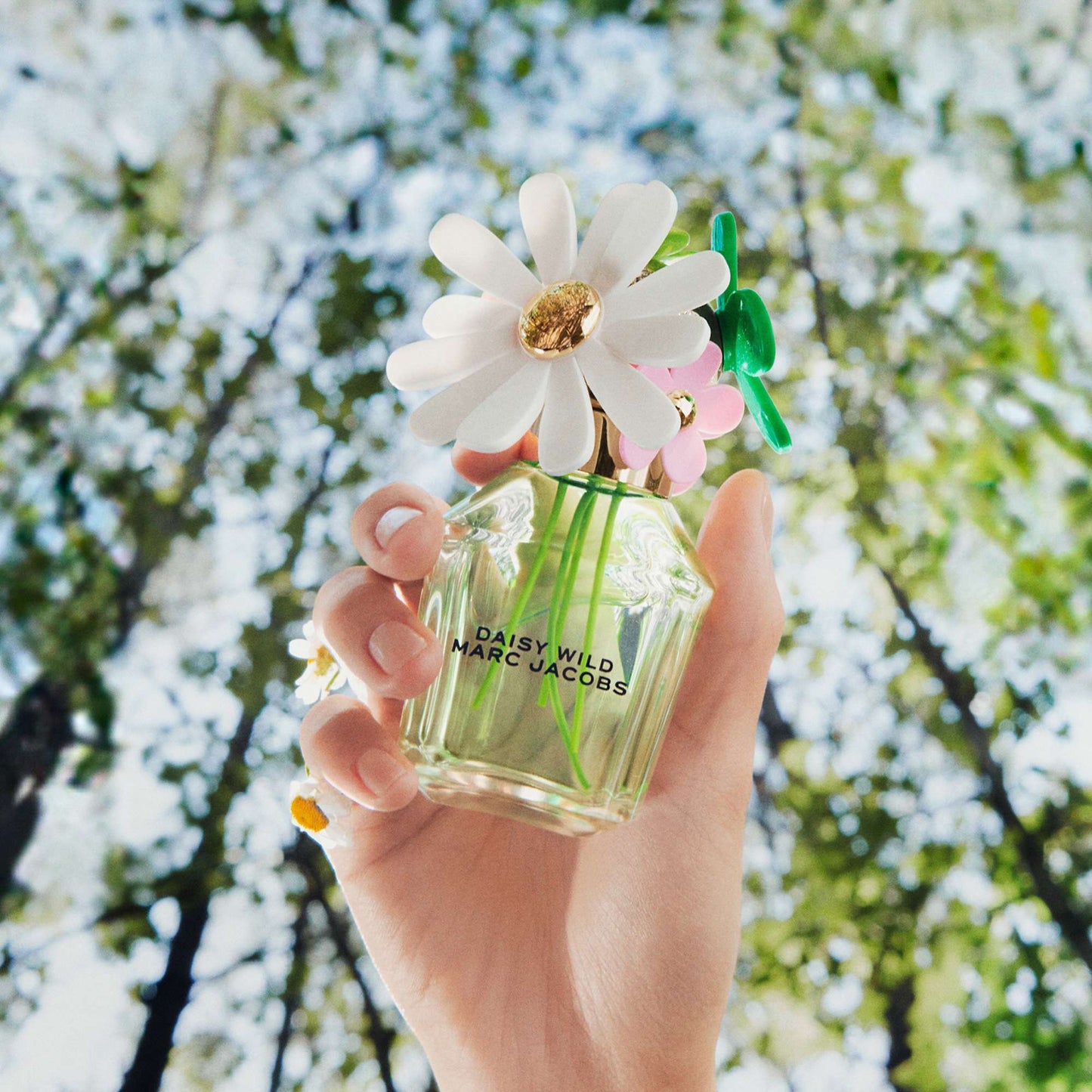 Marc Jacobs Daisy Wild Eau de Parfum 30ml - Additional 4