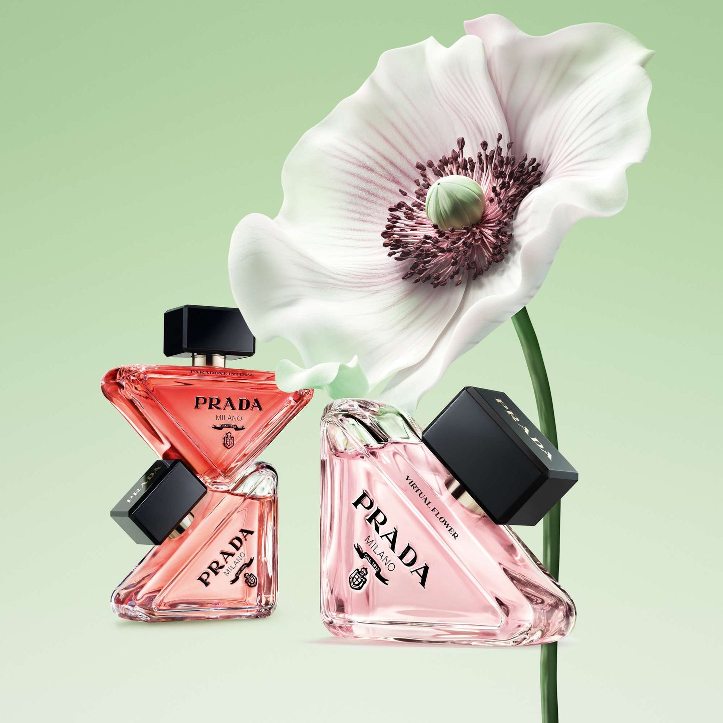 Prada Paradoxe Virtual Flower Eau de Parfum Spray 50ml - Additional 6