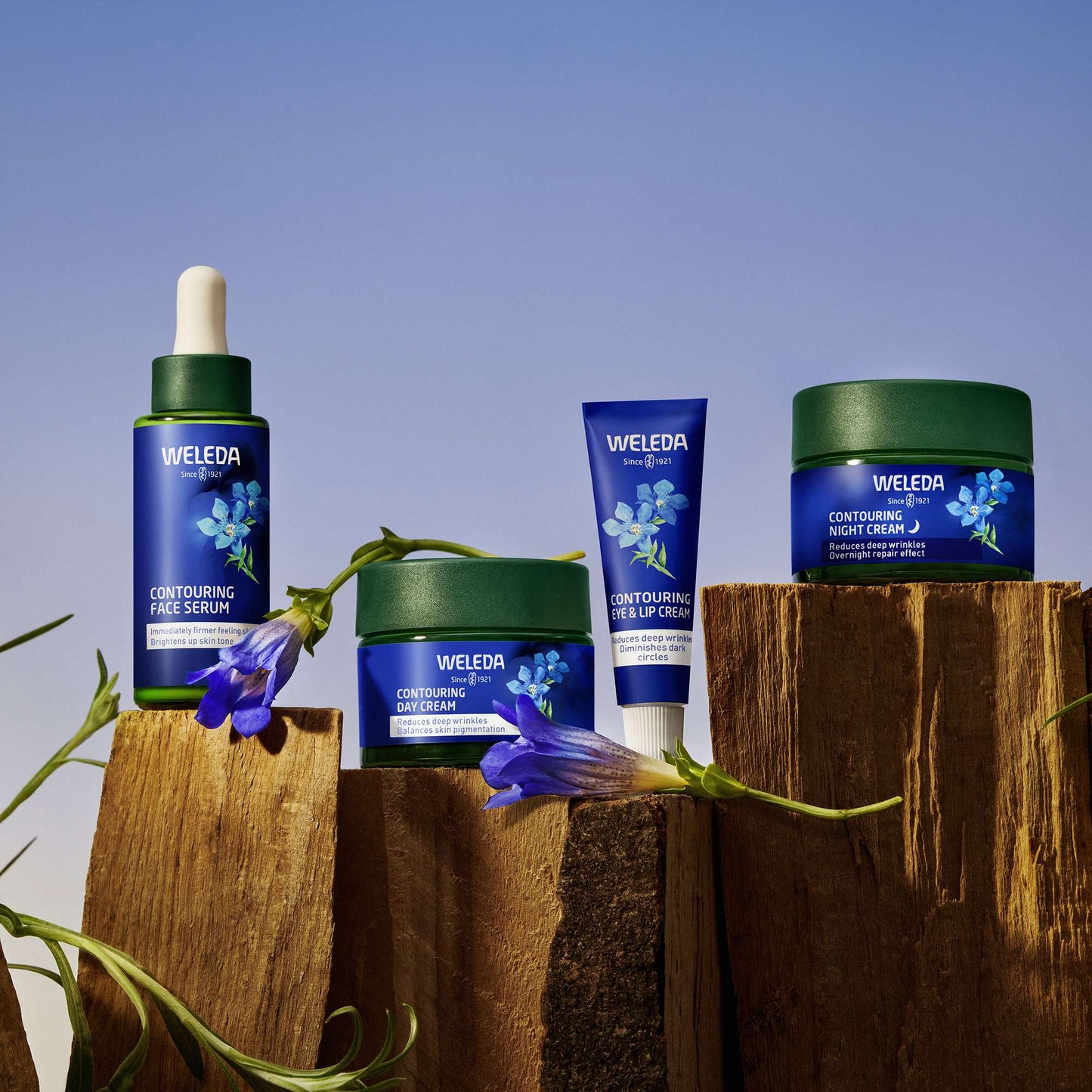 Weleda Face Care Blue Gentian & Edelweiss Contouring Night Cream 40ml - Additional 5