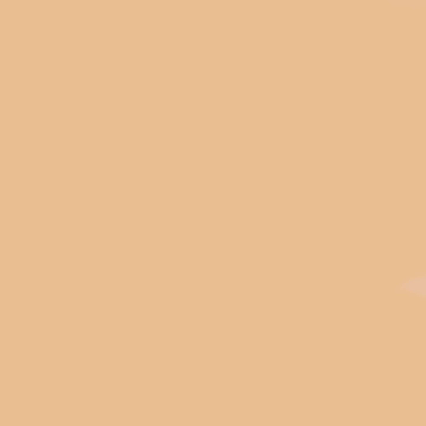 M.A.C Studio Radiance 24hr Luminous Lift Concealer NC11.5 11ml