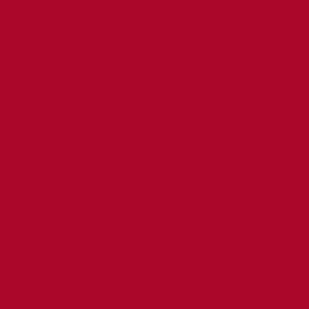 M.A.C Lip Pencil Centre of Attention 1.45g