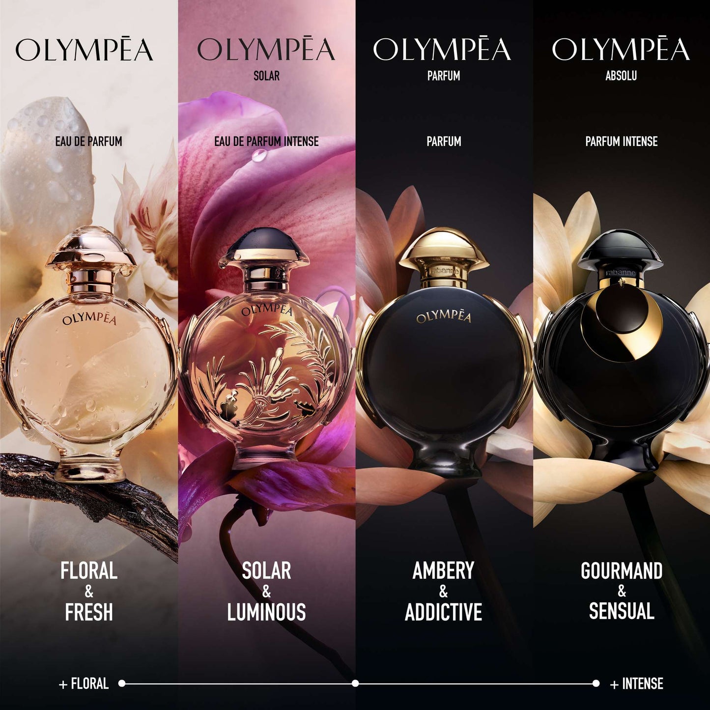 Rabanne Olympéa Absolu Eau de Parfum 50ml - Additional 3