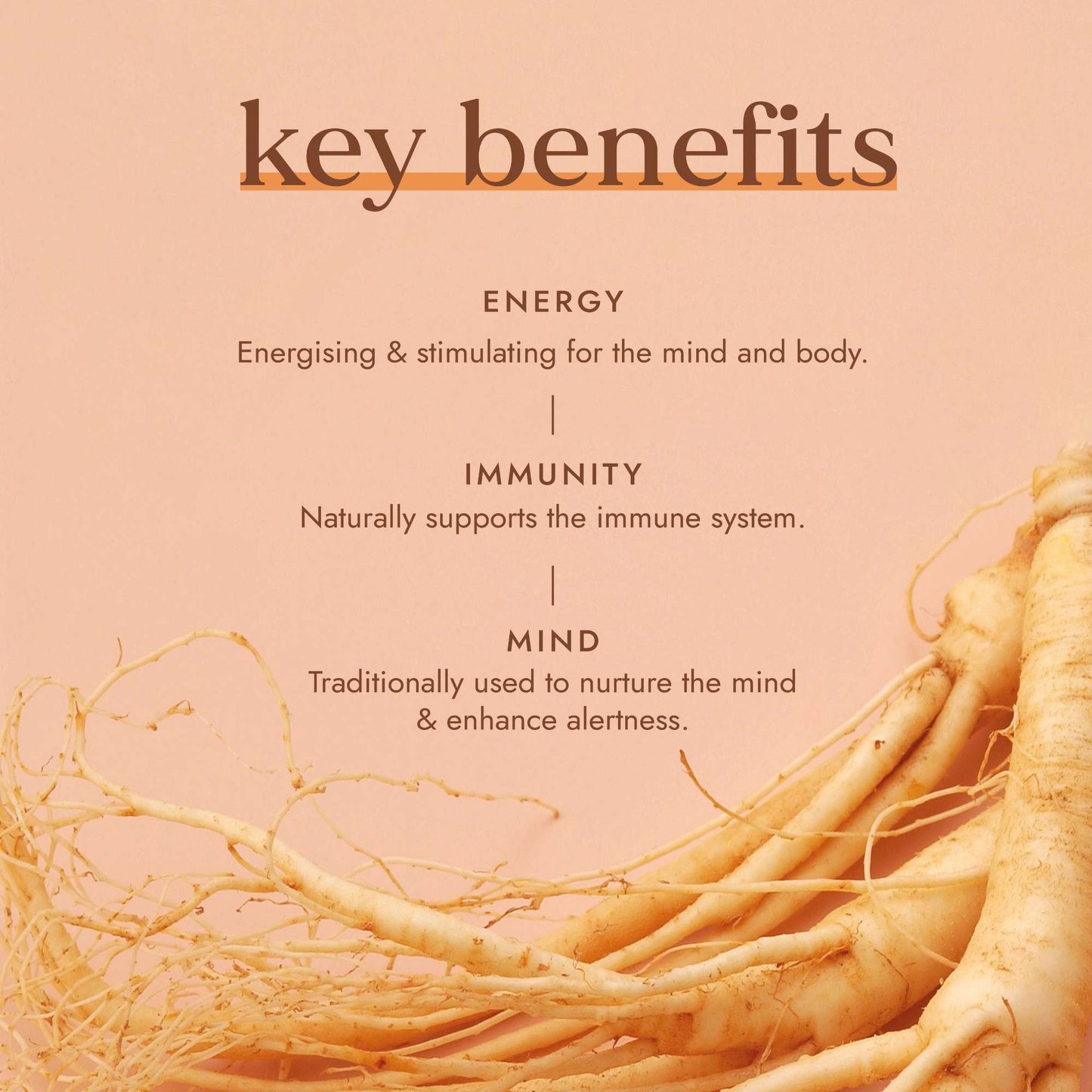 Fushi Single Herb Supplements Organic Red Ginseng x 60 Capsules - Additional 3