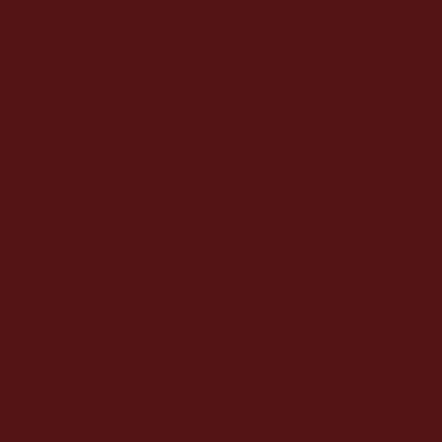 Estée Lauder Pure Color Matte Lipstick Powerful 3.5g