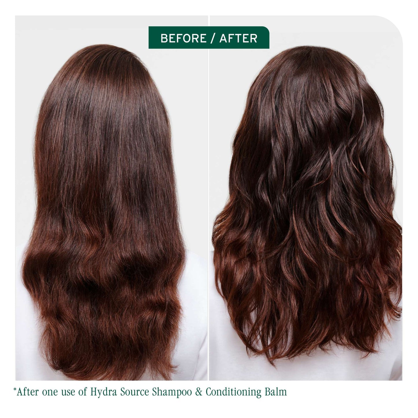 Biolage HydraSource Shampoo 400ml - Additional 3