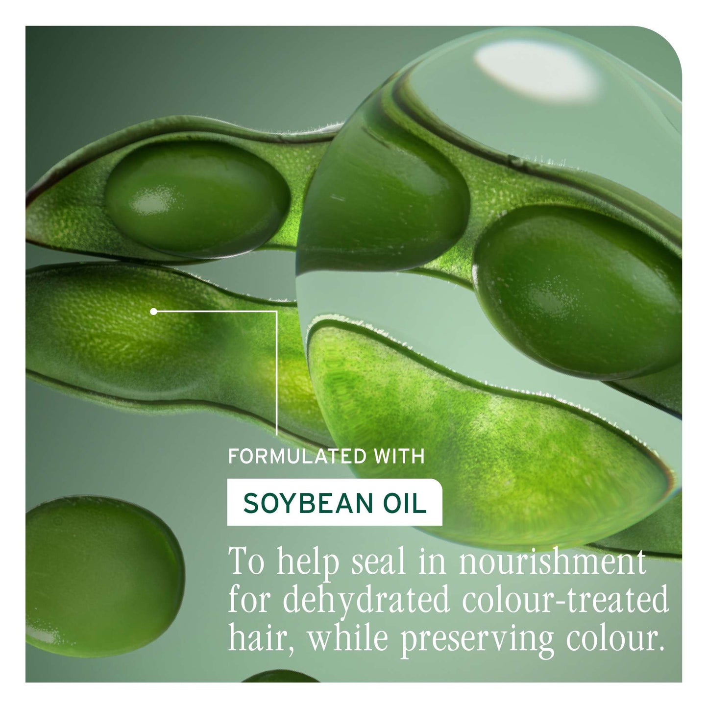 Biolage ColorLast Conditioner 400ml - Additional 2