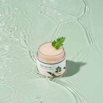 Round Lab  Mugwort Calming Cream 80ml - Additional 1