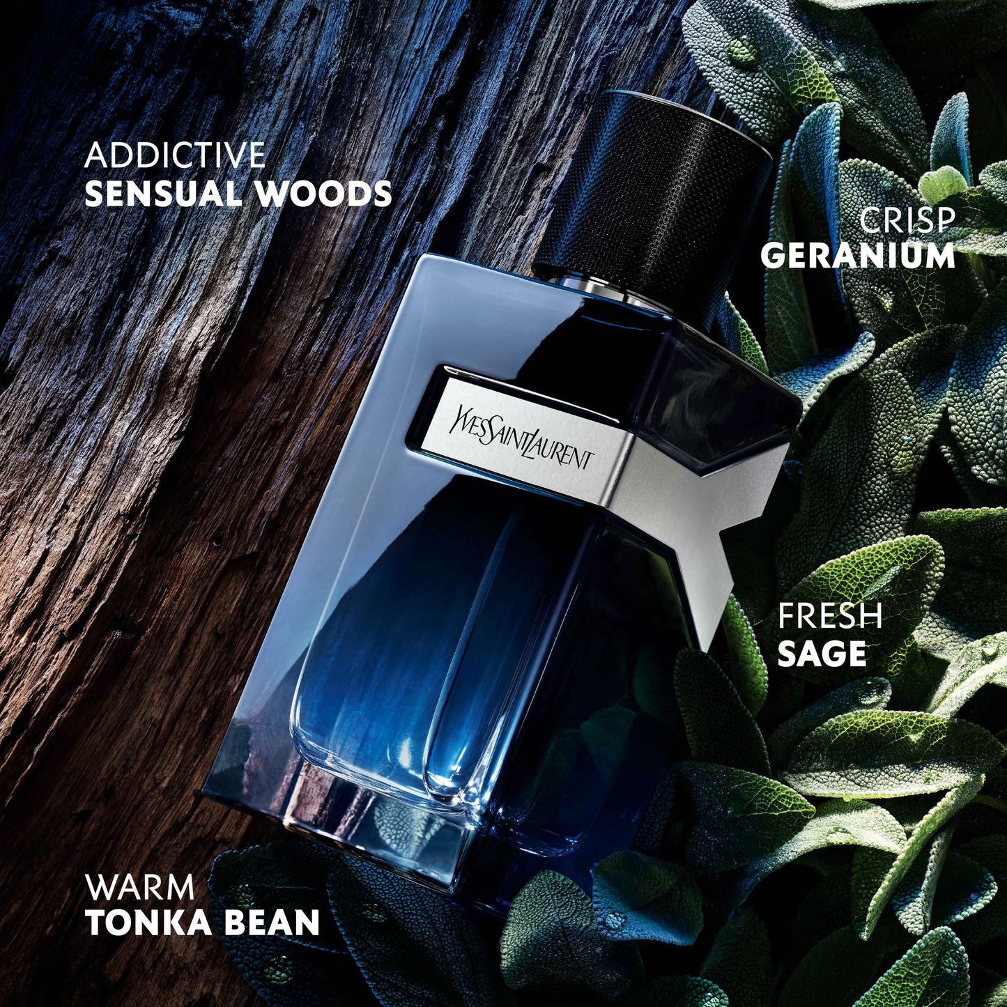 Yves Saint Laurent  Y Eau de Parfum Spray 100ml Gift Set (Worth £136.00) - Additional 3
