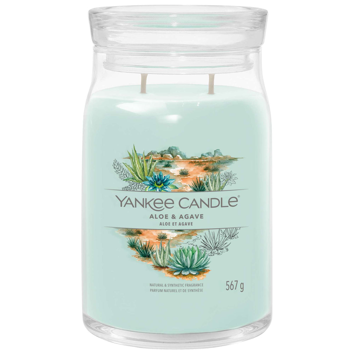 Yankee Candle Signature Jar Candle Large Aloe & Agave 567g