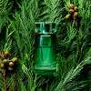 Karl Lagerfeld Bois de Cyprès Eau de Toilette 50ml - Additional 3