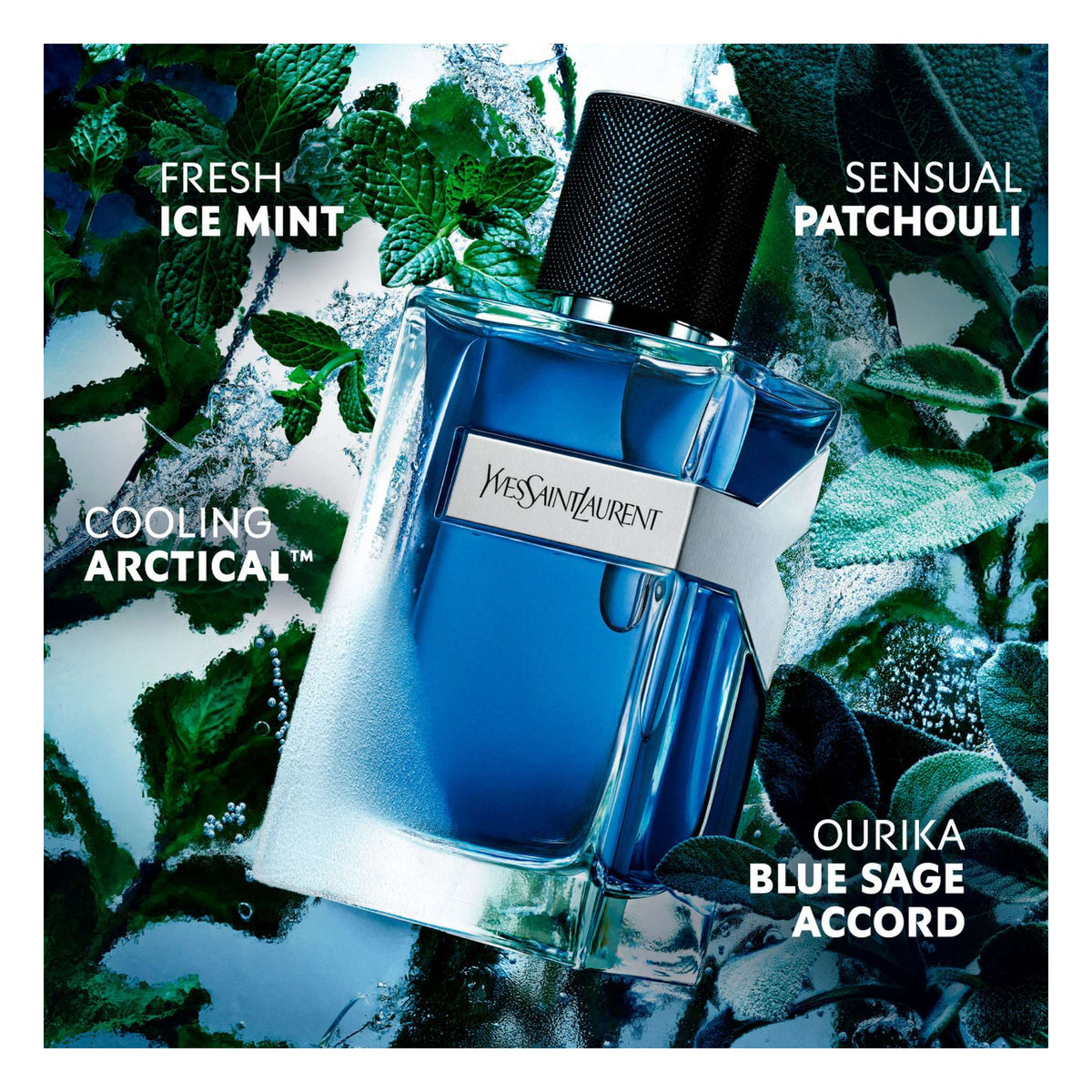 Yves Saint Laurent Y Iced Cologne Eau de Toilette Intense Spray 100ml - Additional 2