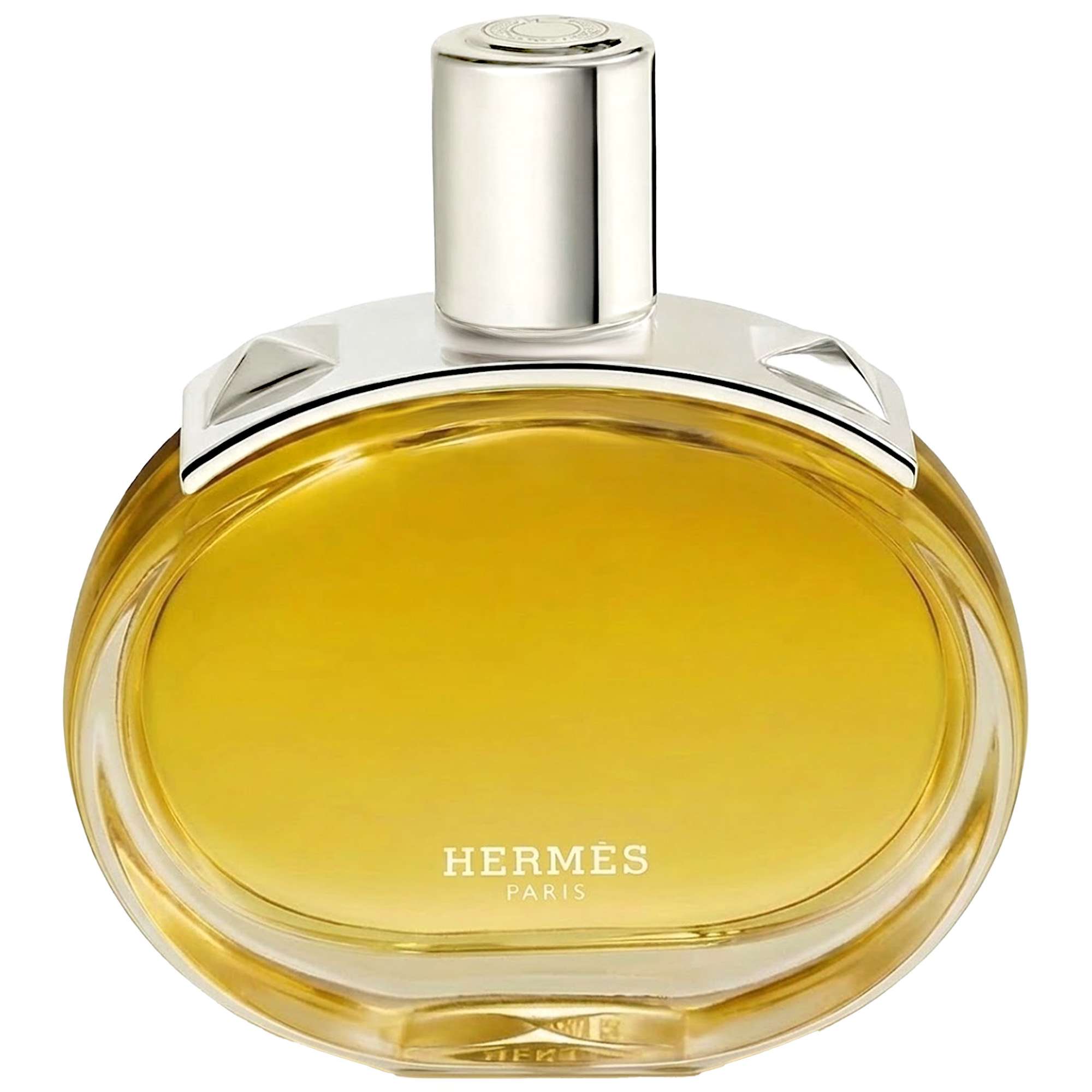 Hermès Terre d'Hermès Eau de Toilette Spray 100ml - Aftershave