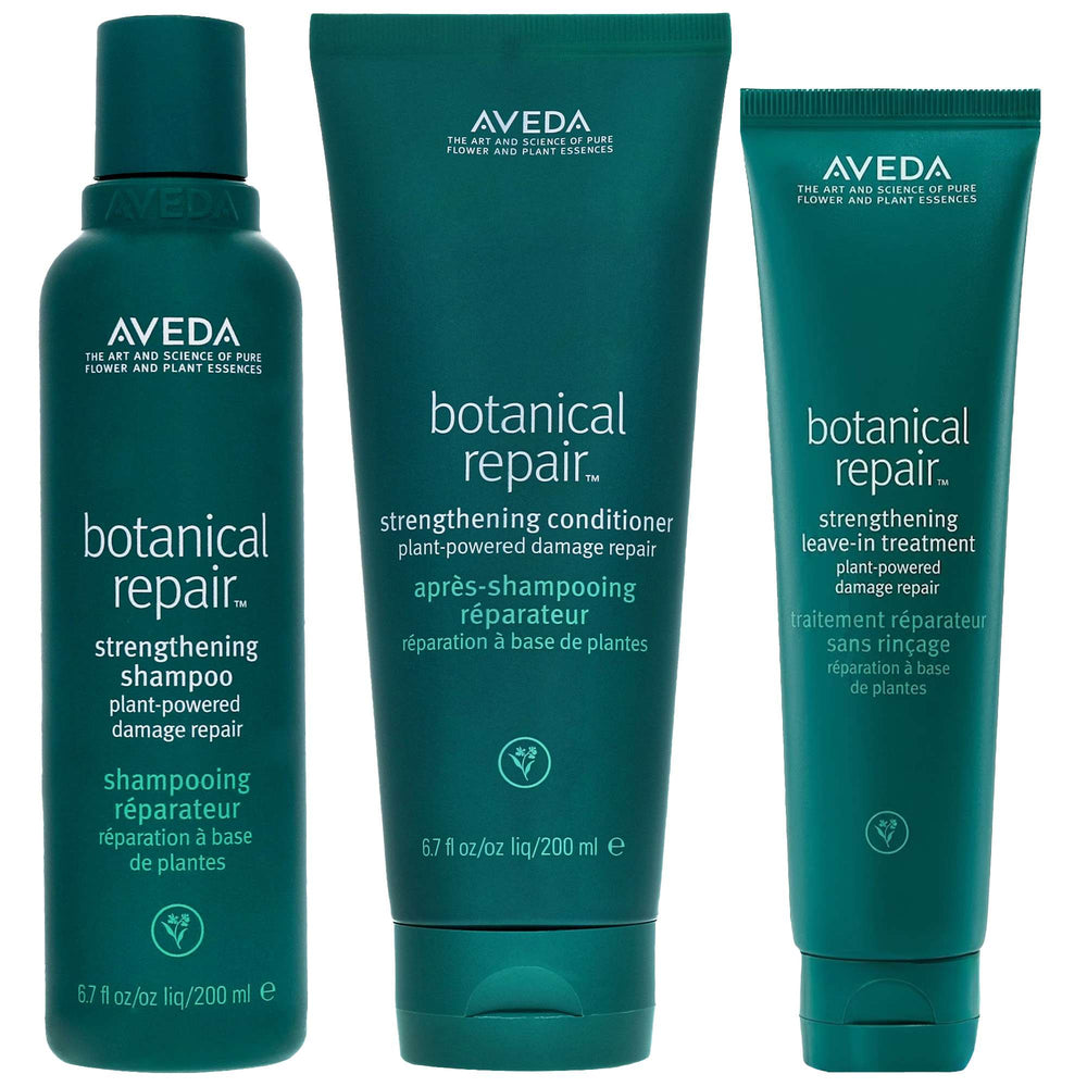 Aveda Bundles Botanical Repair Routine