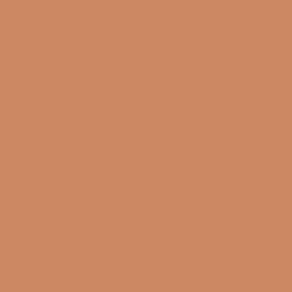 Clinique True Bronze Pressed Powder Bronzer 03 Sunblushed 9.6g / 0.33 oz.