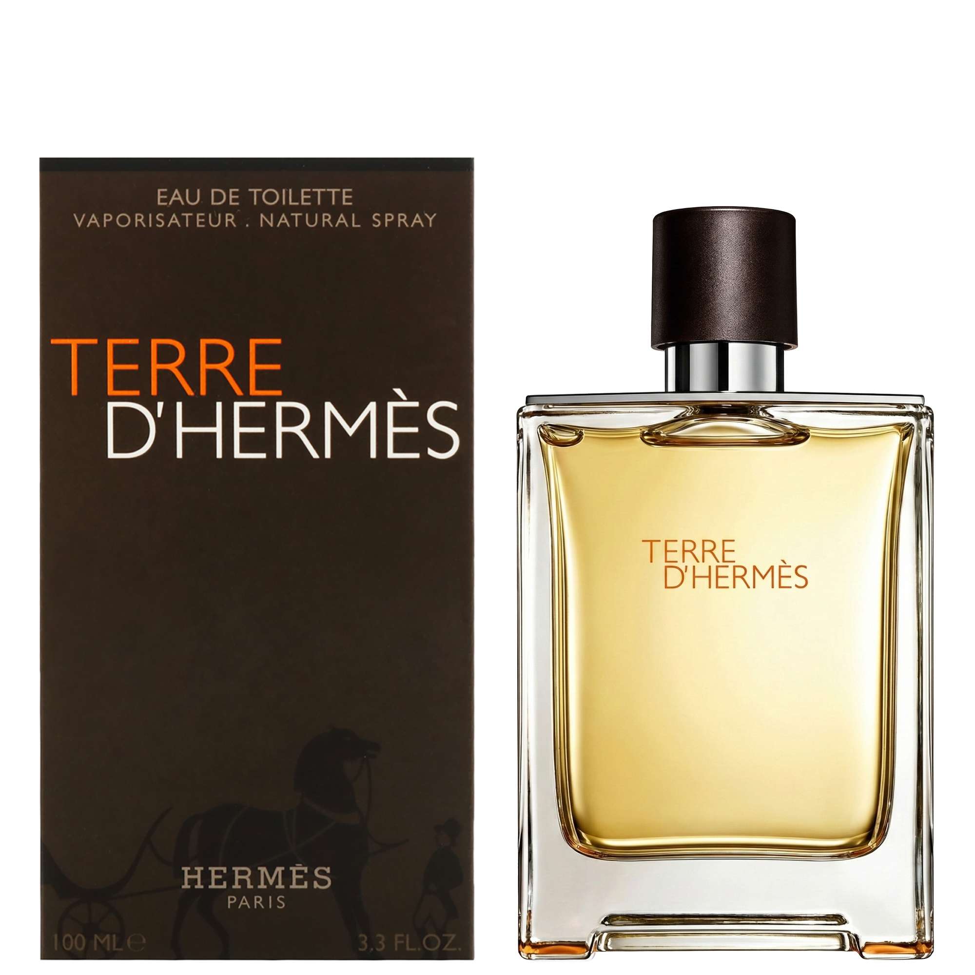 Hermès Terre d'Hermès Eau de Toilette Spray 100ml - Aftershave