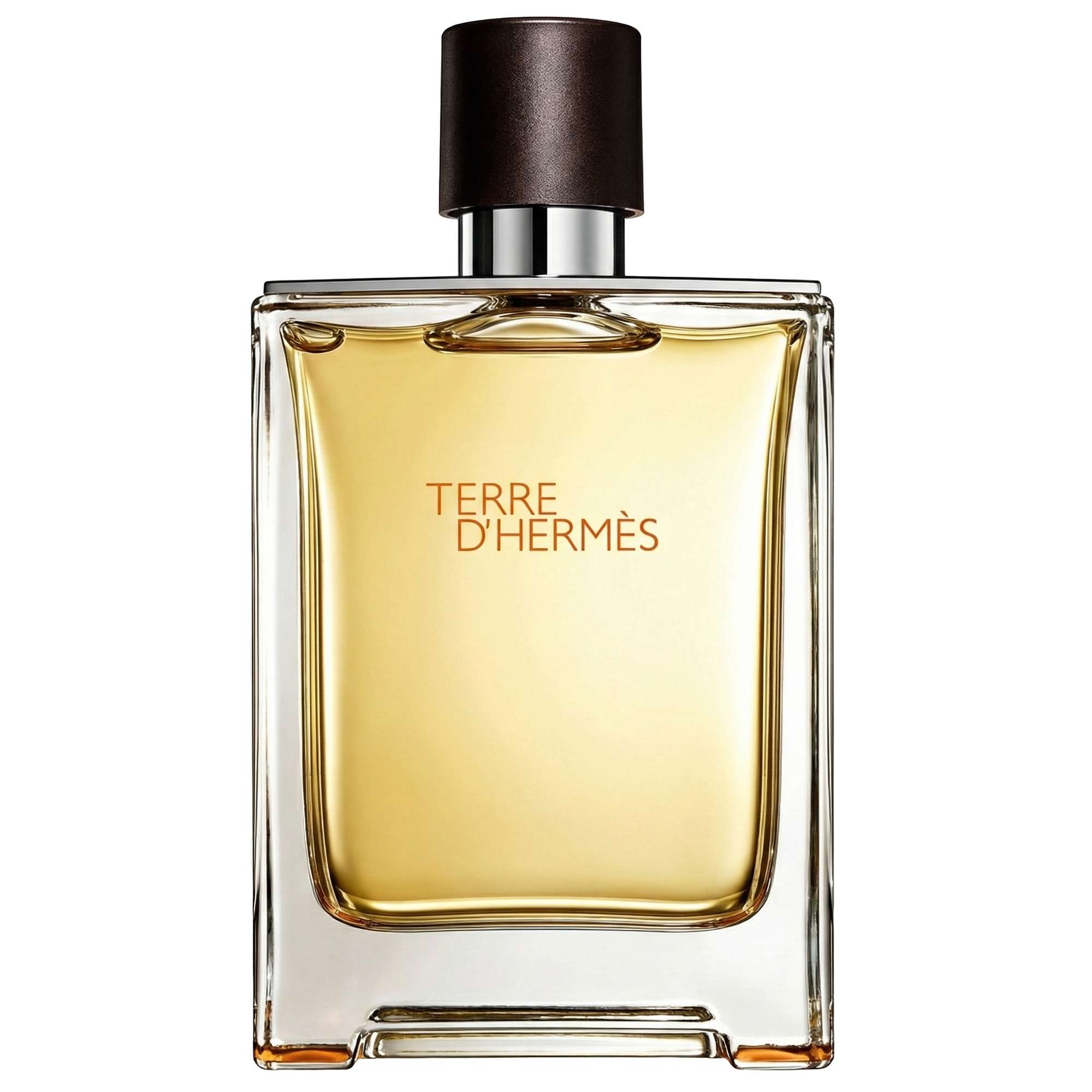 Hermès Terre d'Hermès Eau de Toilette Spray 100ml - Aftershave